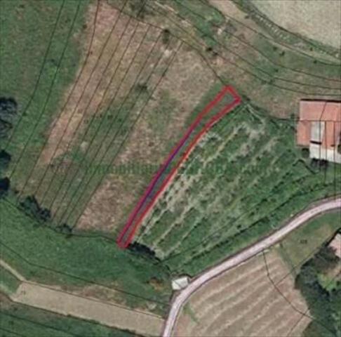 Terreno en venta en Pontevedra, Bora photo 0