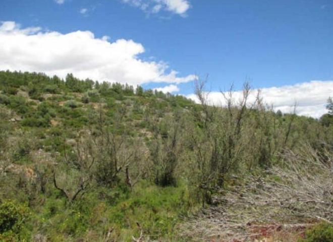 Terreno en venta en Sant Mateu, Sant Mateu photo 0