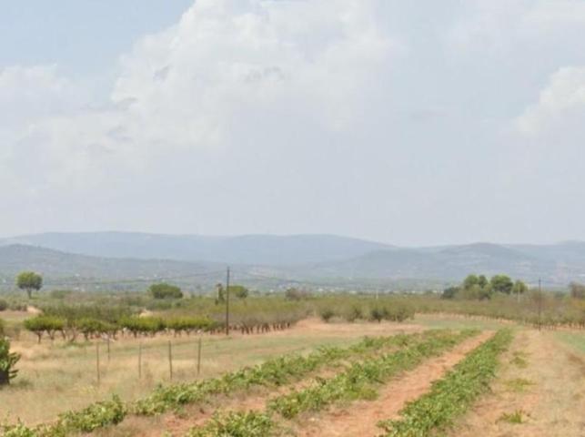 Terreno en venta en Vilafamés, Comunidad valenciana photo 0