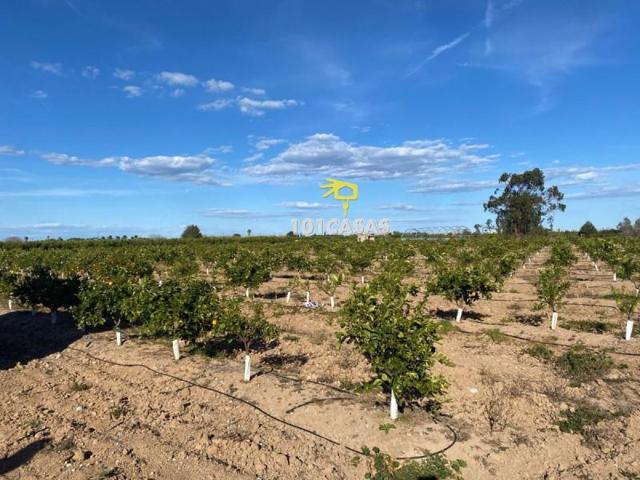 Terreno en venta en Polinyà de Xúquer, Polinya De Xuquer photo 0