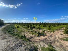 Terreno en venta en Polinyà de Xúquer, Polinya De Xuquer photo 0