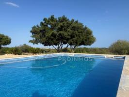 Chalet en alquiler en Manacor photo 0