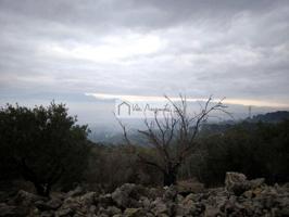 Terreno en venta en Tortosa, Sant Llàtzer, 43500 photo 0