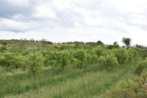 Chalet en venta en Monroyo, Aragon photo 0