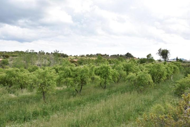 Chalet en venta en Monroyo, Aragon photo 0