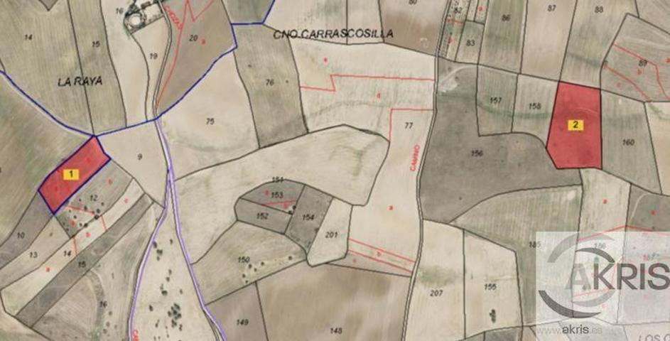 Terreno en venta en Casarrubios del Monte, Camino Cuesta Blanca, Pol.12 Parcela 168, 45950 photo 0