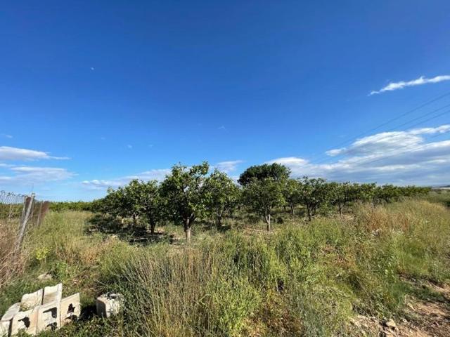 Terreno en venta en Benimodo, Comunidad valenciana photo 0