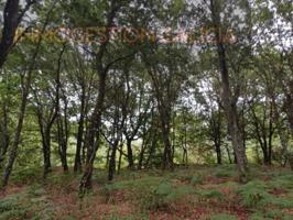 Terreno en venta en Sarría photo 0