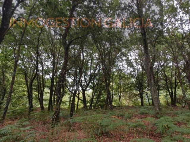 Terreno en venta en Sarría photo 0