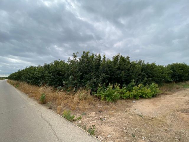 Terreno en venta en Carlet, Alrededores photo 0