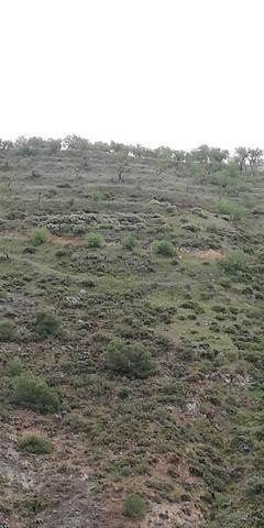 Casa con terreno en venta en Dúrcal photo 0