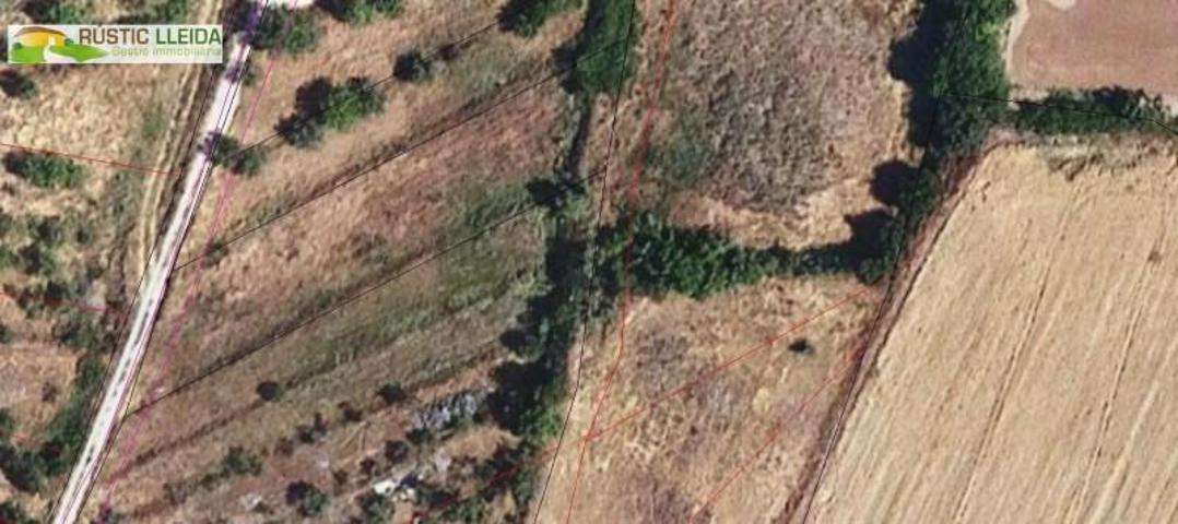 Terreno en venta en Puiggròs, Puiggrós photo 0