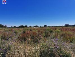 Terreno en venta en Marcilla, Marcilla photo 0