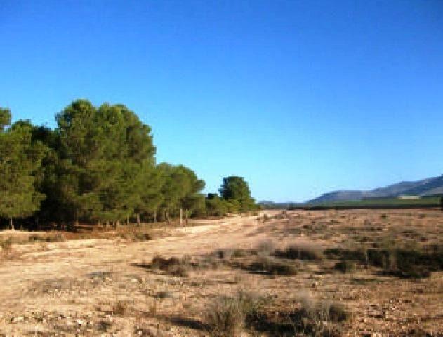 Chalet en venta en Aledo, Aledo photo 0