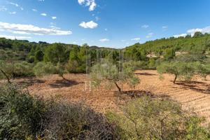 Chalet en venta en La Fatarella, Fatarella (La) photo 0