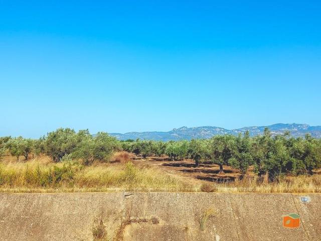 Terreno en venta en Ulldecona, Cataluna photo 0