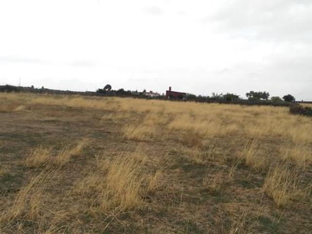 Terreno en venta en Santa Ana, Centro photo 0