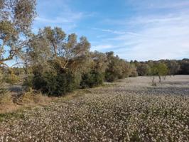 Terreno en venta en Ascó, ASCÓ photo 0