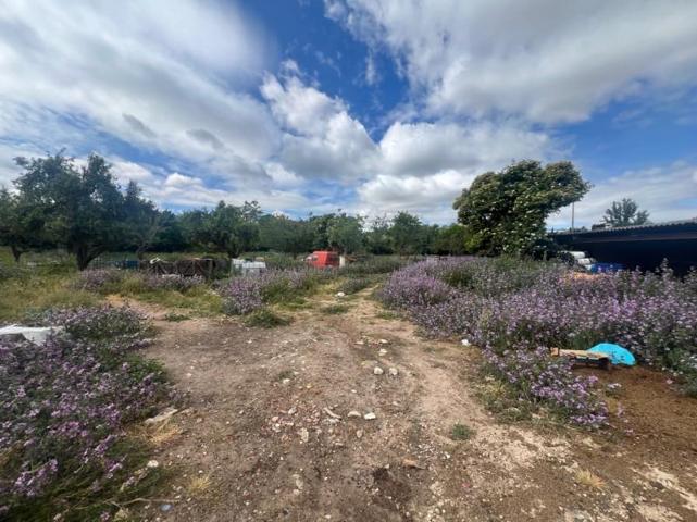 Terreno en venta en Modúbar de la Emparedada, Modúbar de la Emparedada photo 0