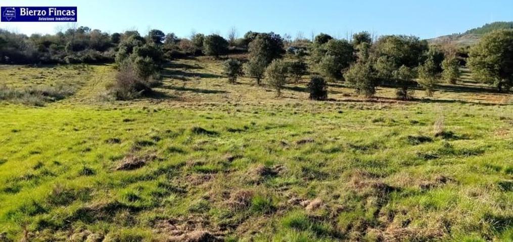 Chalet en venta en Congosto, Cobrana photo 0