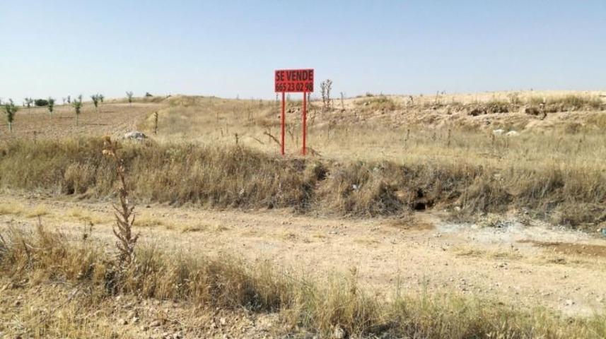 Terreno en venta en Lillo photo 0