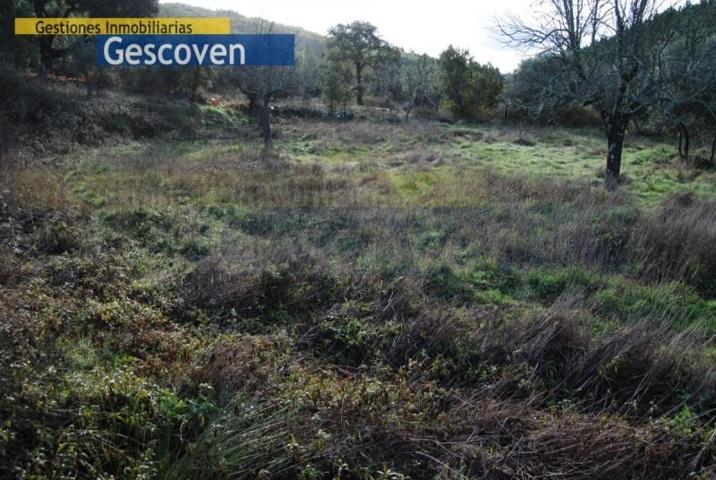 Casa con terreno en venta en Valencia de Alcántara, Campiña photo 0