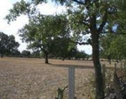 Terreno en venta en Villares de Yeltes, Villares de yeltes photo 0