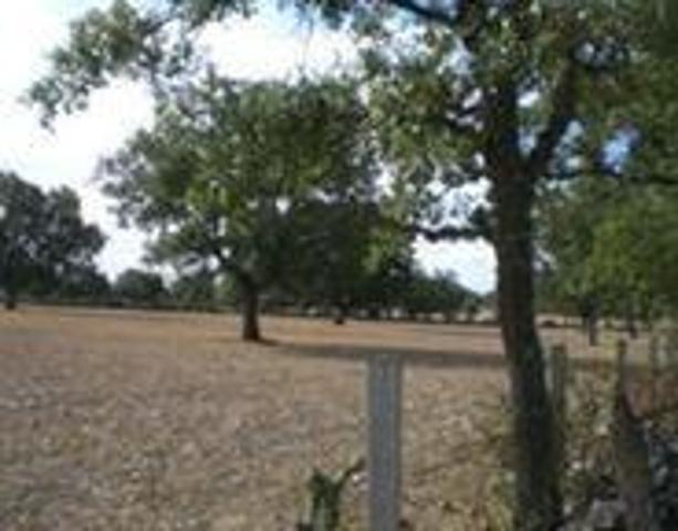 Terreno en venta en Villares de Yeltes, Villares de yeltes photo 0