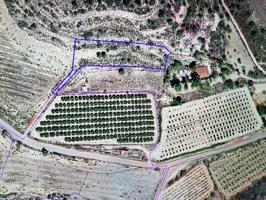 Terreno en venta en Godelleta, CaÑada del cura photo 0