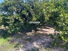 Terreno en venta en Sueca, Sueca photo 0