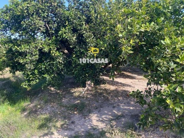 Terreno en venta en Sueca, Sueca photo 0