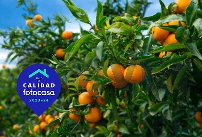 Chalet en venta en Albalat de la Ribera, Albalat De La Ribera photo 0