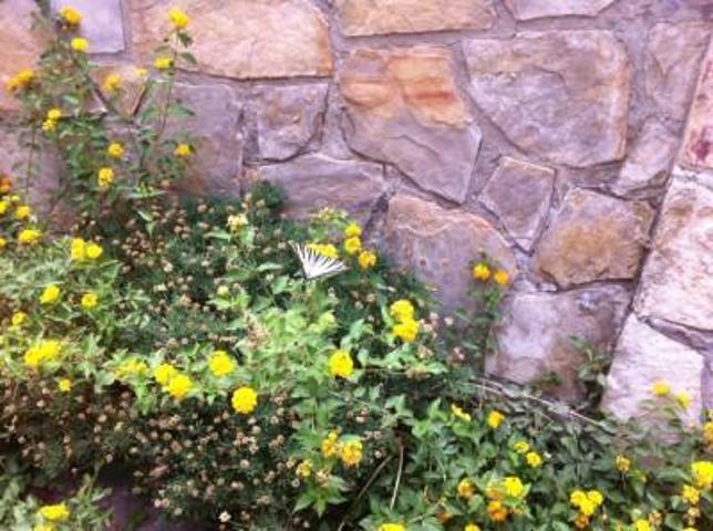 Garaje en venta en Sagunto, Centro puerto photo 0