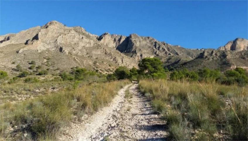 Terreno en venta en Abanilla, ABANILLA photo 0