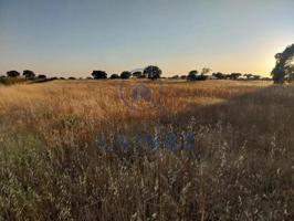 Terreno en venta en Valsequillo, Valsequillo photo 0