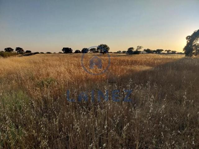 Terreno en venta en Valsequillo, Valsequillo photo 0