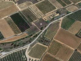 Terreno en venta en Cheste photo 0