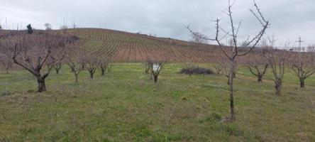 Chalet en venta en Ponferrada, Toral de Merayo photo 0