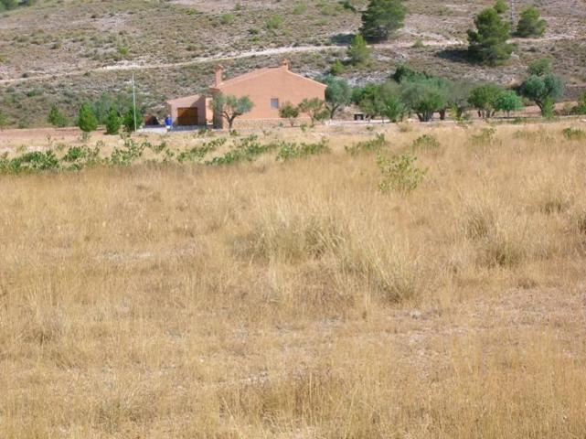 Terreno en venta en Hondon de las Nieves, Canalosa photo 0
