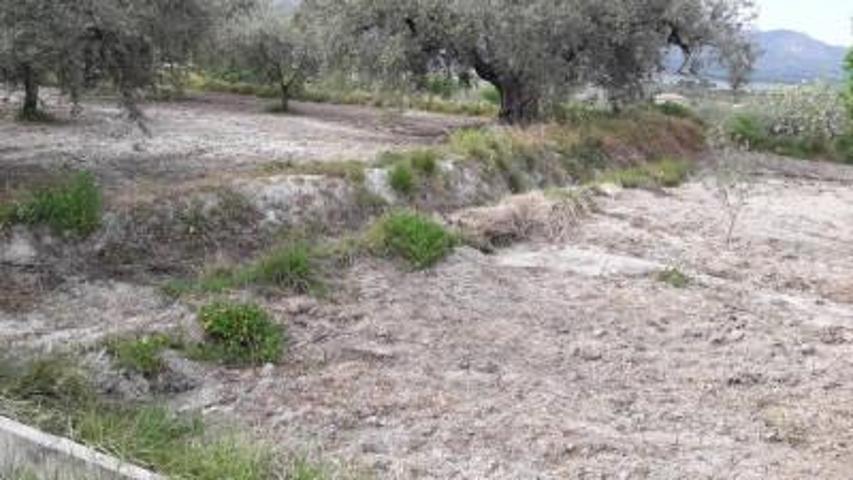 Terreno en venta en Moratalla photo 0