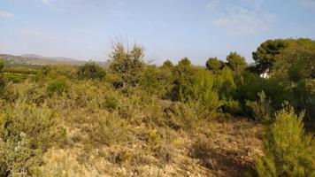 Terreno en venta en Llíria, Sant Vicent photo 0