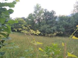 Terreno en venta en Grado, Grado photo 0