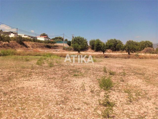 Terreno en venta en Ontinyent, Senda 5 Germans photo 0