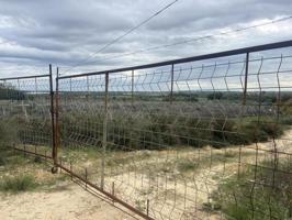 Terreno en venta en Niebla, Carretera de bonares, 21840 photo 0