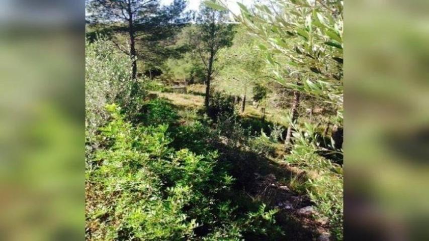 Terreno en venta en la Bisbal del Penedès, Can Gordei photo 0