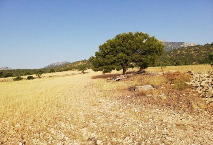 Terreno en venta en Lorca, Zarcilla de Ramos-Doña Inés photo 0