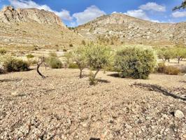 Terreno en venta en Orihuela, Barbarroja photo 0