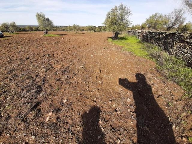Terreno en venta en Botija, Tipo Finca: photo 0