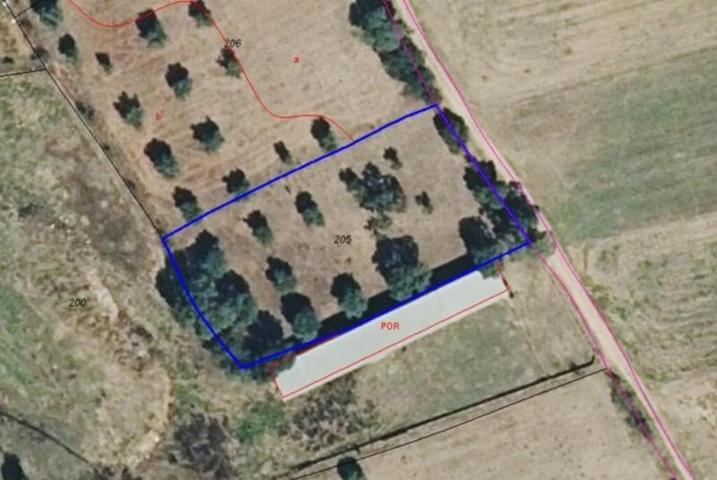 Terreno en venta en Torrico photo 0