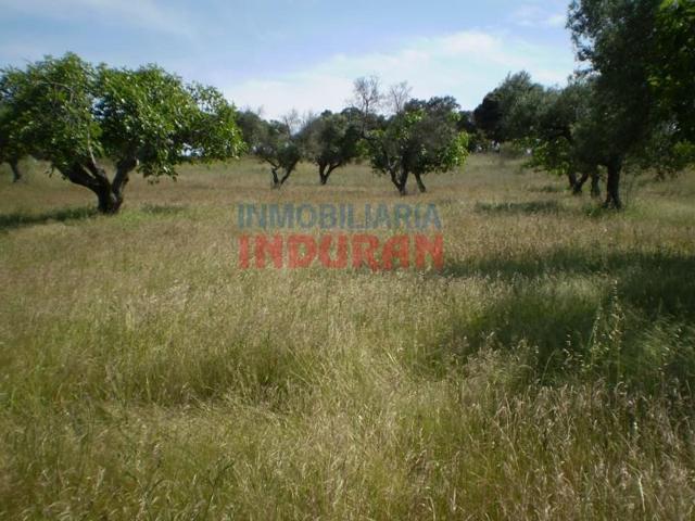 Chalet en venta en Valdehúncar photo 0